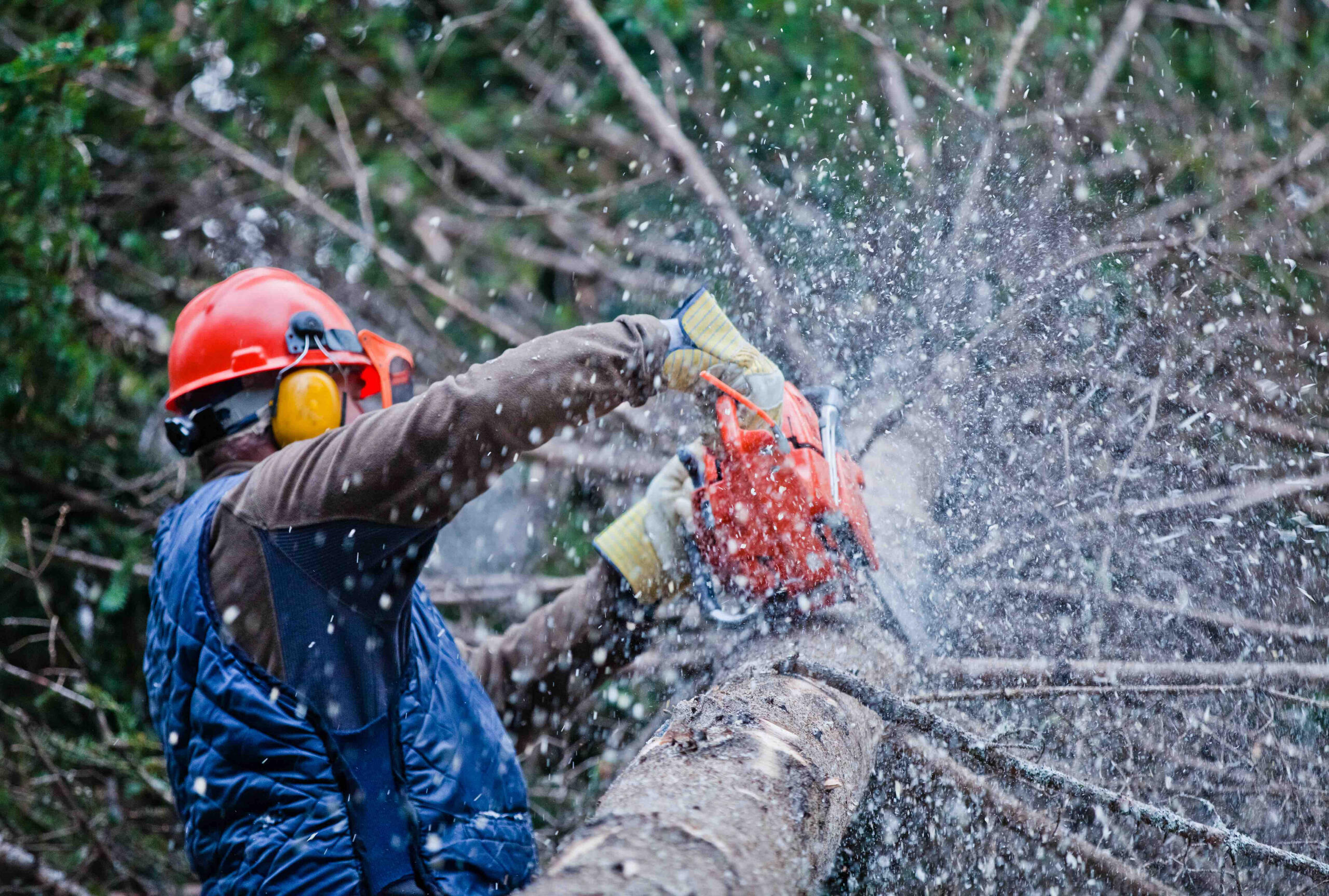 Storm Cleanup & Land Clearing St. Cloud, MN