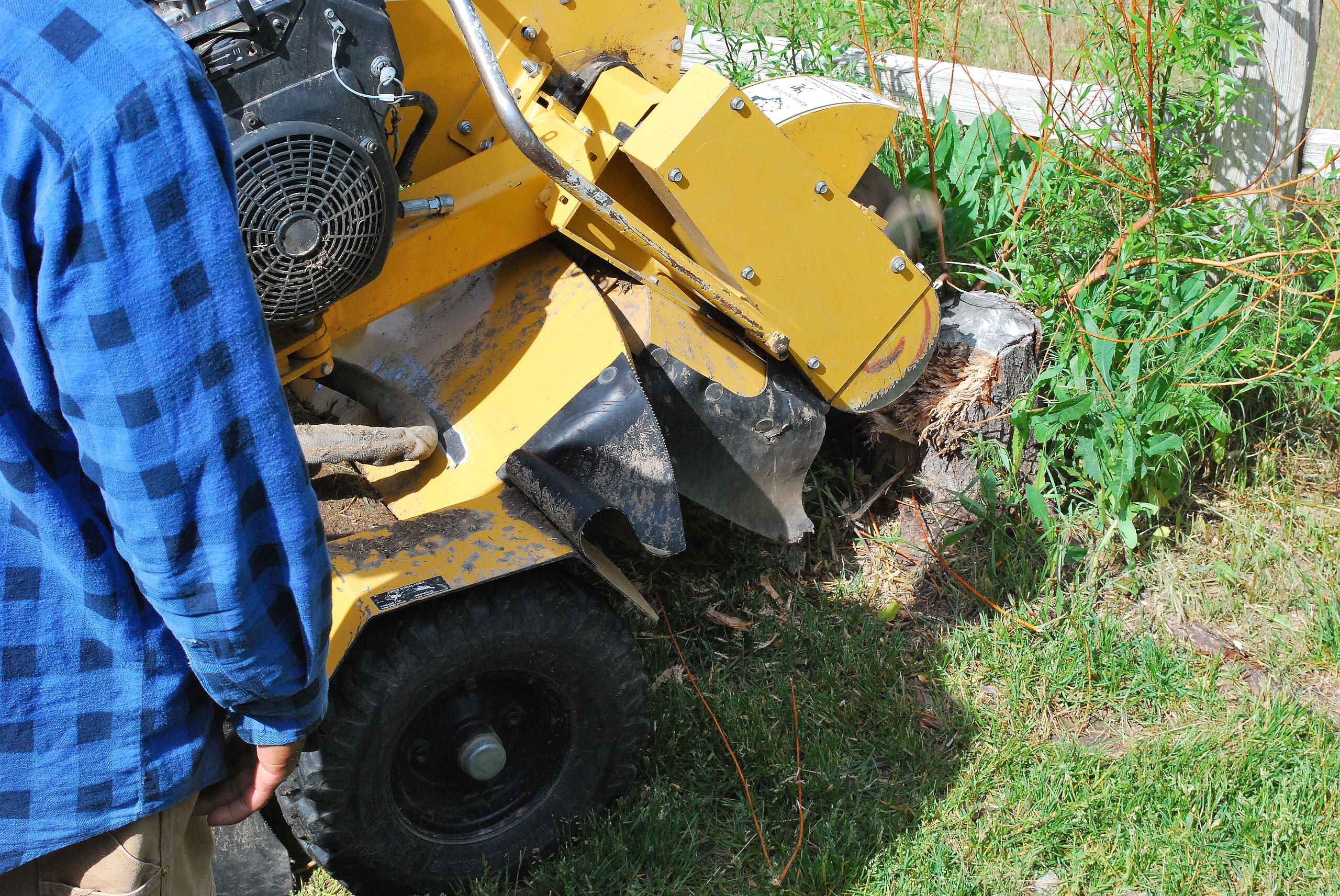 Stump Grinding St. Cloud, MN